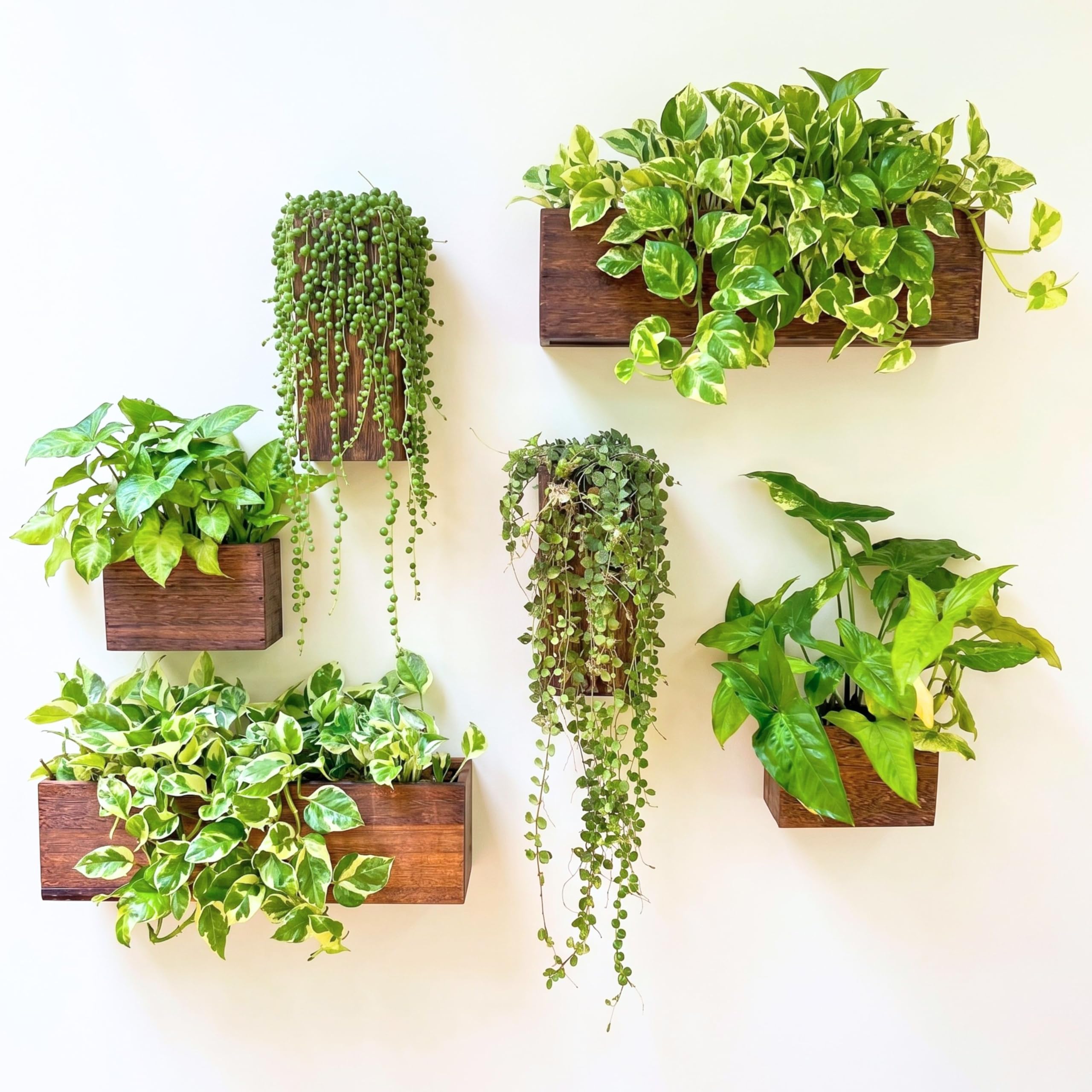 Amazon.com: LaLaGreen Wood Planter Box for Plants (6 Pack) Wooden